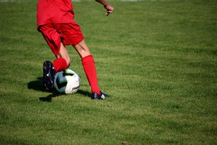 开云中国大陆-CBA球队加强后勤保障体系优化训练和比赛准备，cba后备联赛