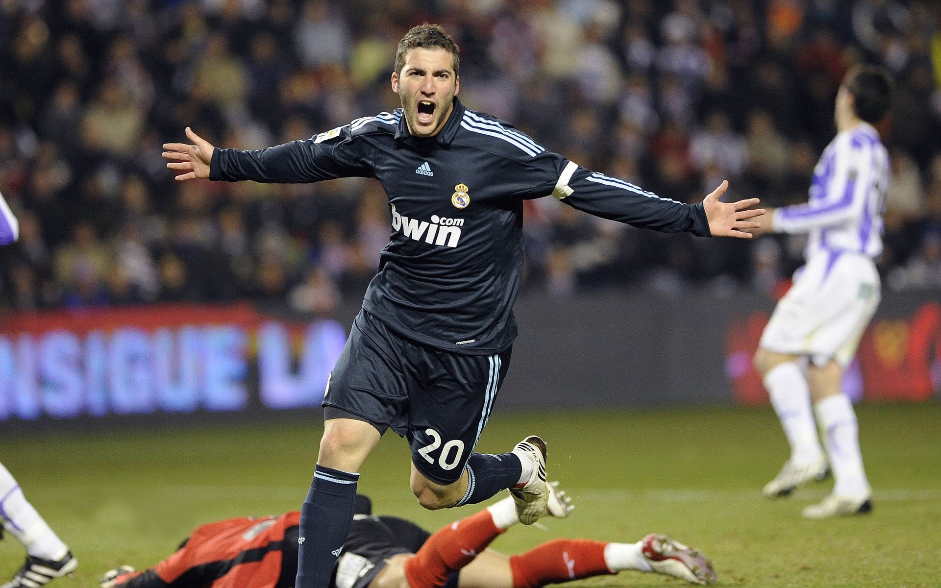 开云官方网页登录-塔特的场上冷静与决断力，让袋鼠队充满信心