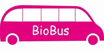 kaiyun-意甲联赛的绿色可持续发展，意甲联赛啥意思